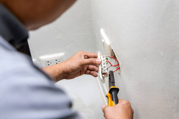 Best Electric Panel Repair  in Richmond Hill, GA